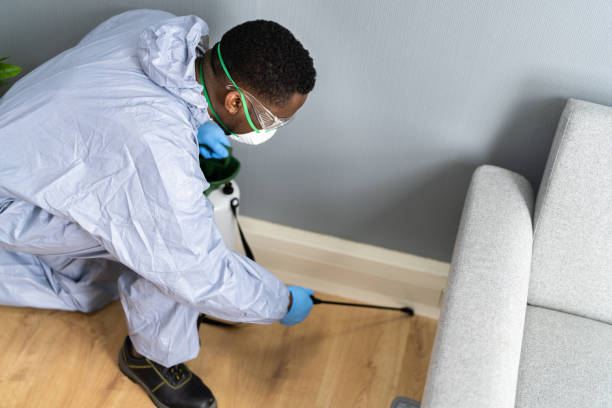 Best Commercial Pest Control  in Benton, LA